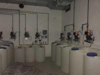 蘇州奧體中心游泳池項(xiàng)目