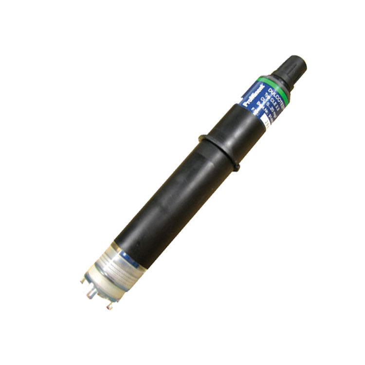 在線余氯電極 CLE2.2-4P