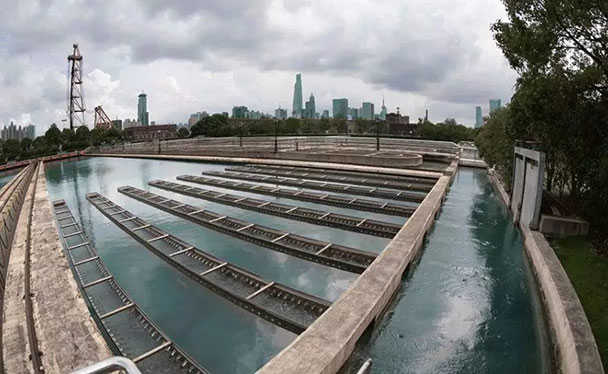 1550731067396564-1 (1).jpg